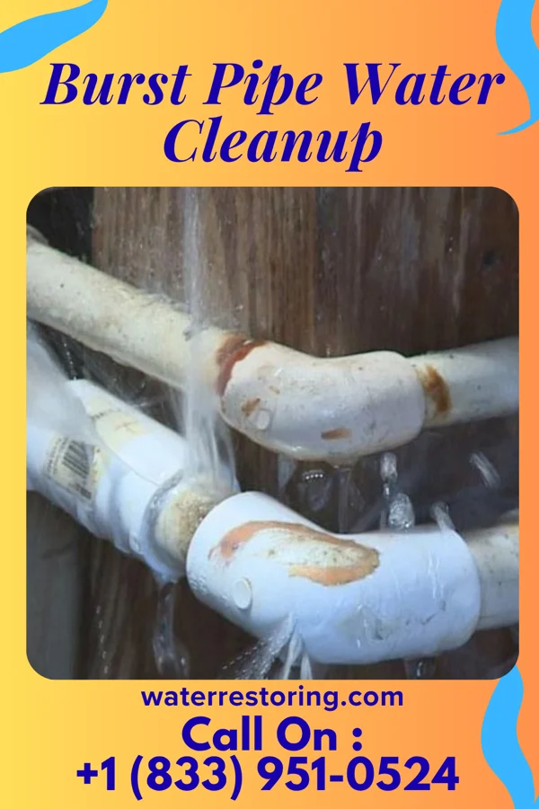 Burst Pipe Water Cleanup in Wilson, PA