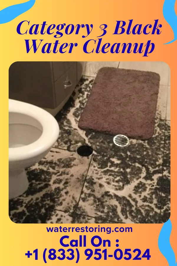 Category 3 Black Water Cleanup in Wilson, PA