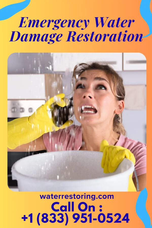 Emergency Water Damage Restoration in Wilson, PA