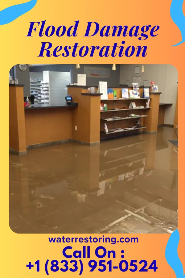 Flood Damage Restoration in Wilson, PA