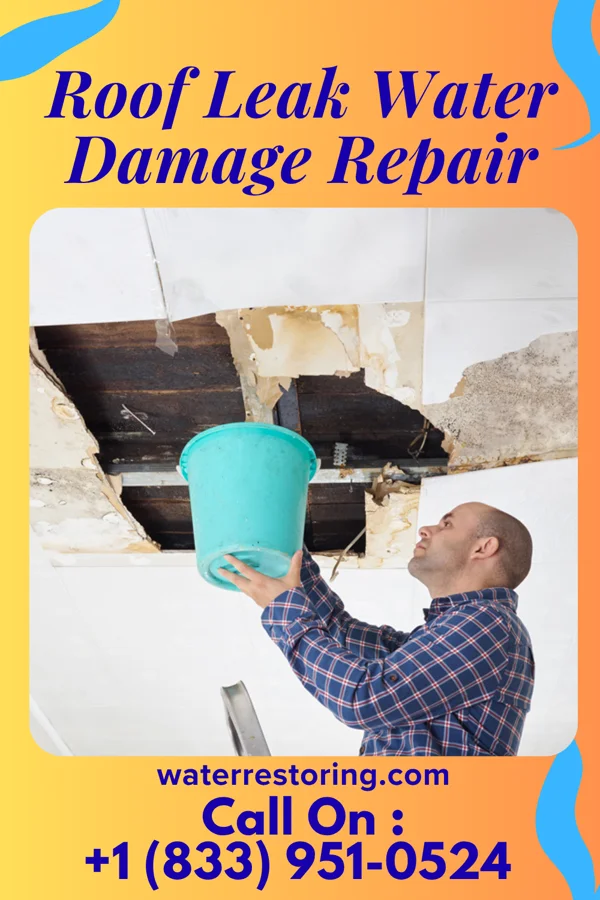 Roof Leak Water Damage Repair in Wilson, PA
