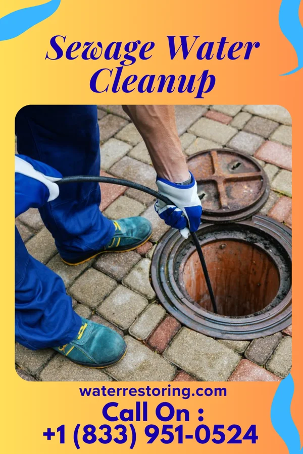 Sewage Water Cleanup in Wilson, PA